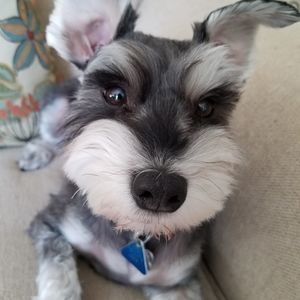 Meet your Posher, Judy